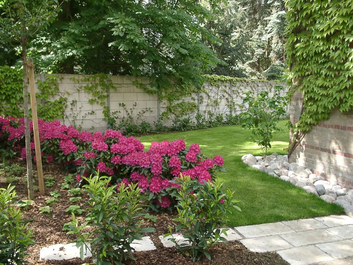 Come usare l’acqua piovana per il giardino: il metodo più efficiente Come usare l’acqua piovana per il giardino: il metodo più efficiente