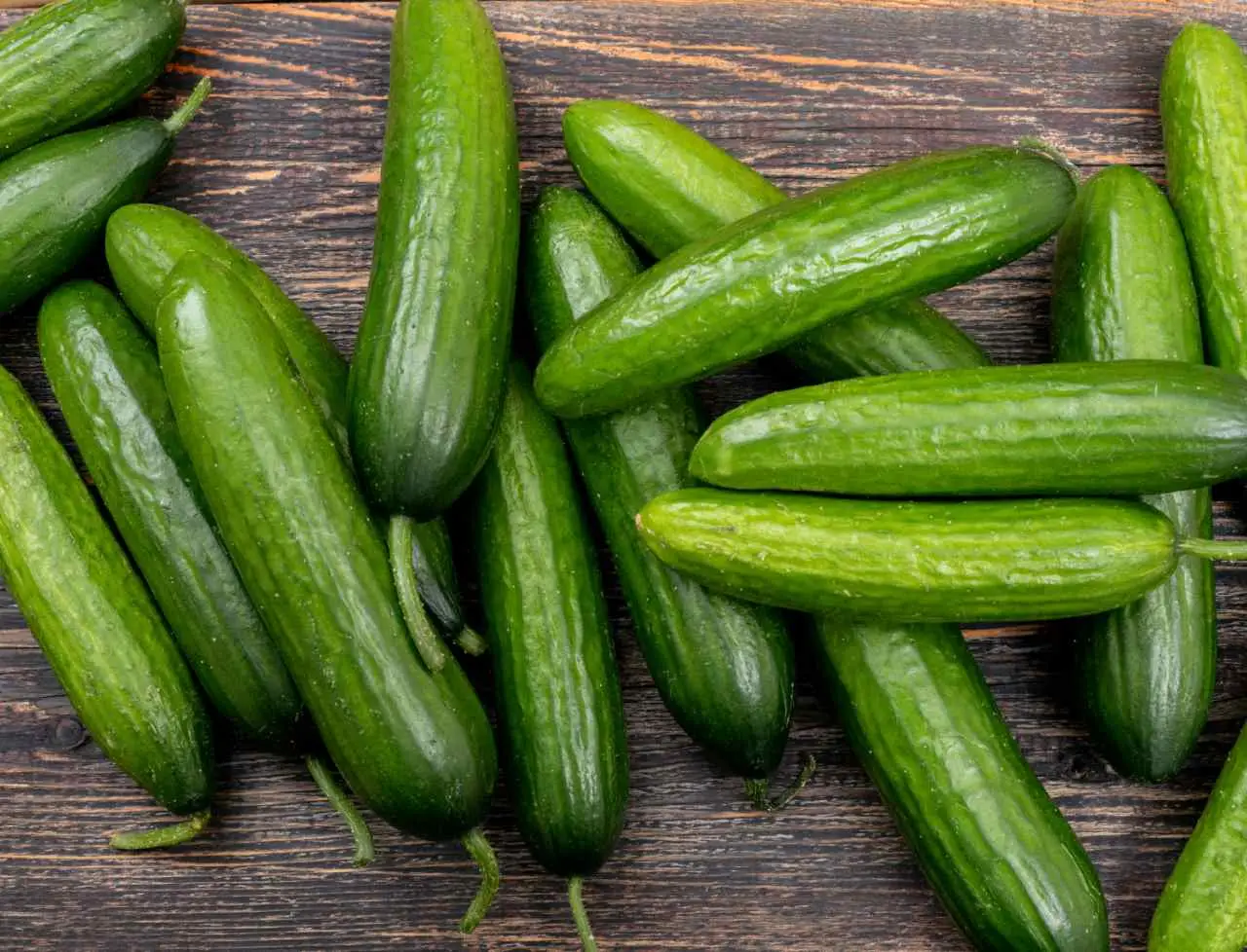 Cetrioli nell’orto: l’errore che rovina tutto e come evitarlo Cetrioli nell’orto: l’errore che rovina tutto e come evitarlo