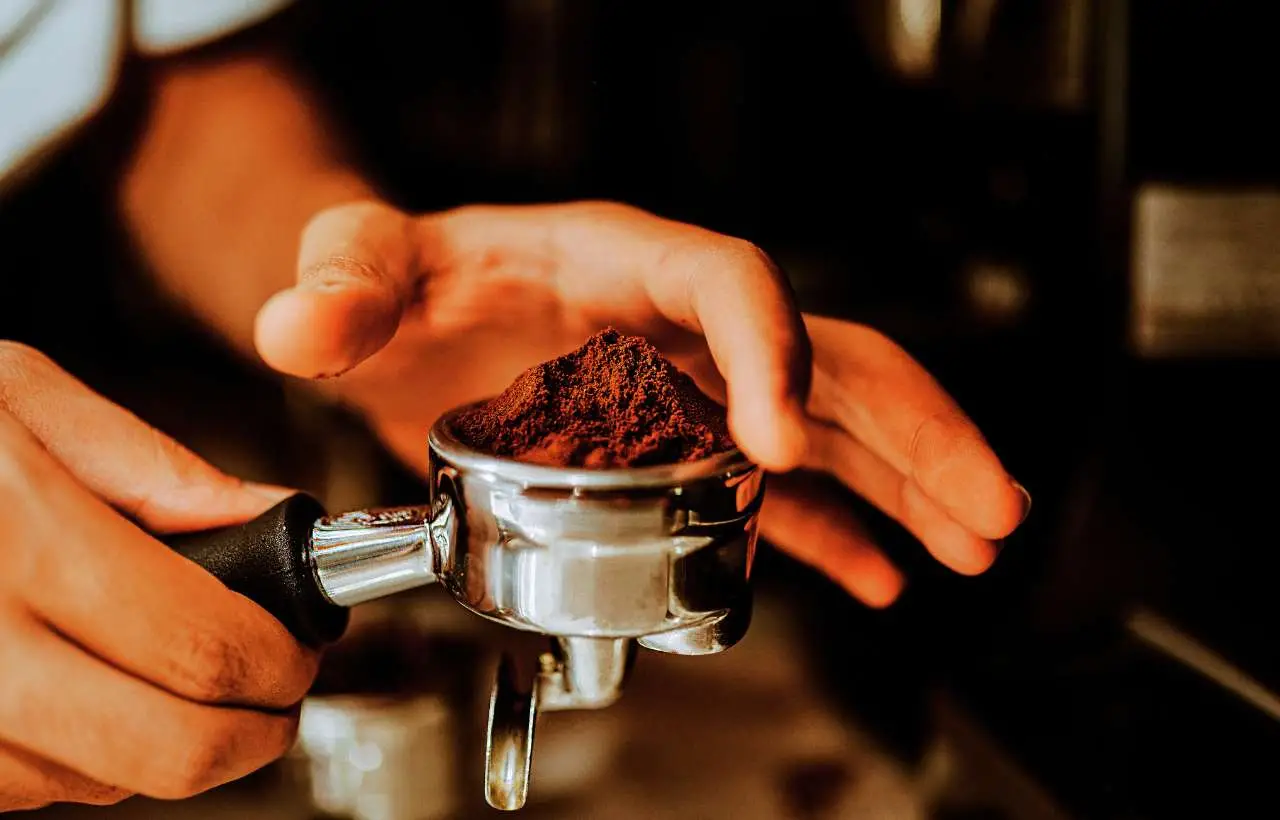 Fondi di caffè nel bidone dell’umido: il trucco geniale che elimina i cattivi odori Fondi di caffè nel bidone dell’umido: il trucco geniale che elimina i cattivi odori