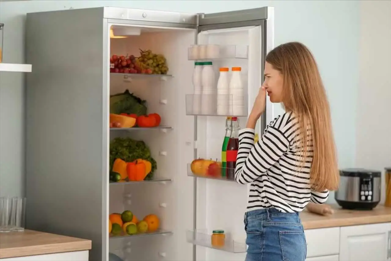 Bicarbonato e limone: la soluzione veloce per dire addio ai cattivi odori nel frigo Bicarbonato e limone: la soluzione veloce per dire addio ai cattivi odori nel frigo