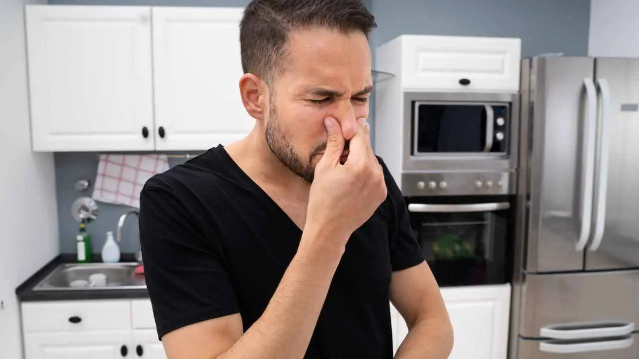 Scopri il metodo naturale per eliminare l’odore di fritto da cucina e tessuti subito Scopri il metodo naturale per eliminare l’odore di fritto da cucina e tessuti subito