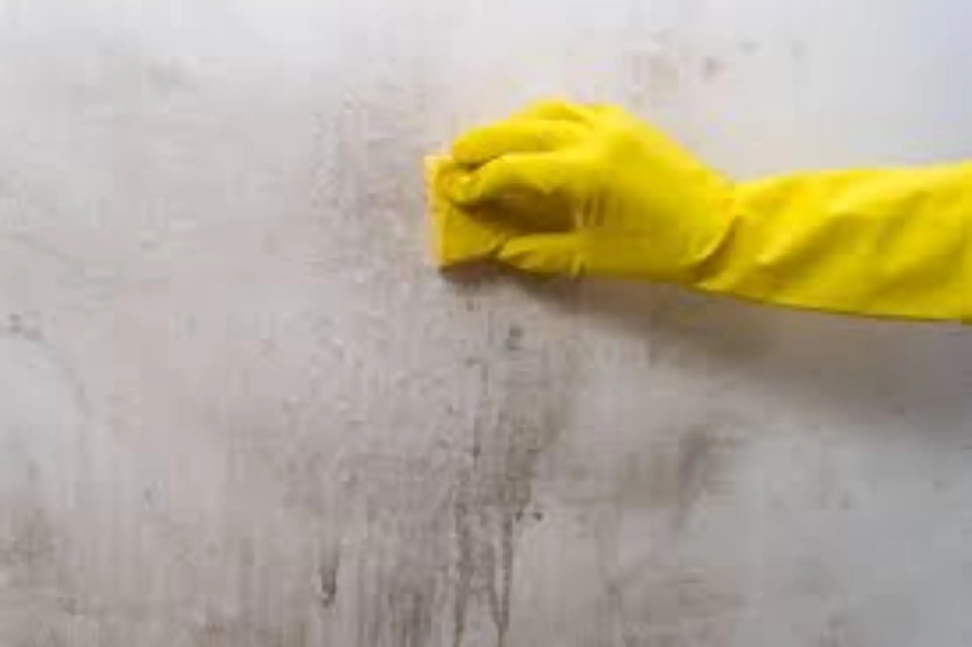 Come togliere il calcare dal soffione della doccia usando solo aceto e acqua calda Come togliere il calcare dal soffione della doccia usando solo aceto e acqua calda