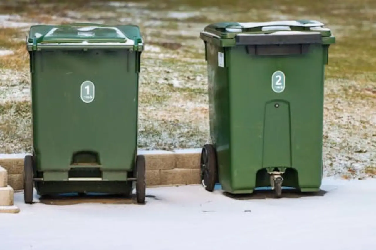 Blatte nei bidoni dell'immondizia? I segnali da non ignorare e come prevenire Blatte nei bidoni dell'immondizia? I segnali da non ignorare e come prevenire