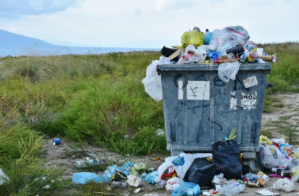 Blatte nei bidoni dell'immondizia? I segnali da non ignorare e come prevenire Blatte nei bidoni dell'immondizia? I segnali da non ignorare e come prevenire