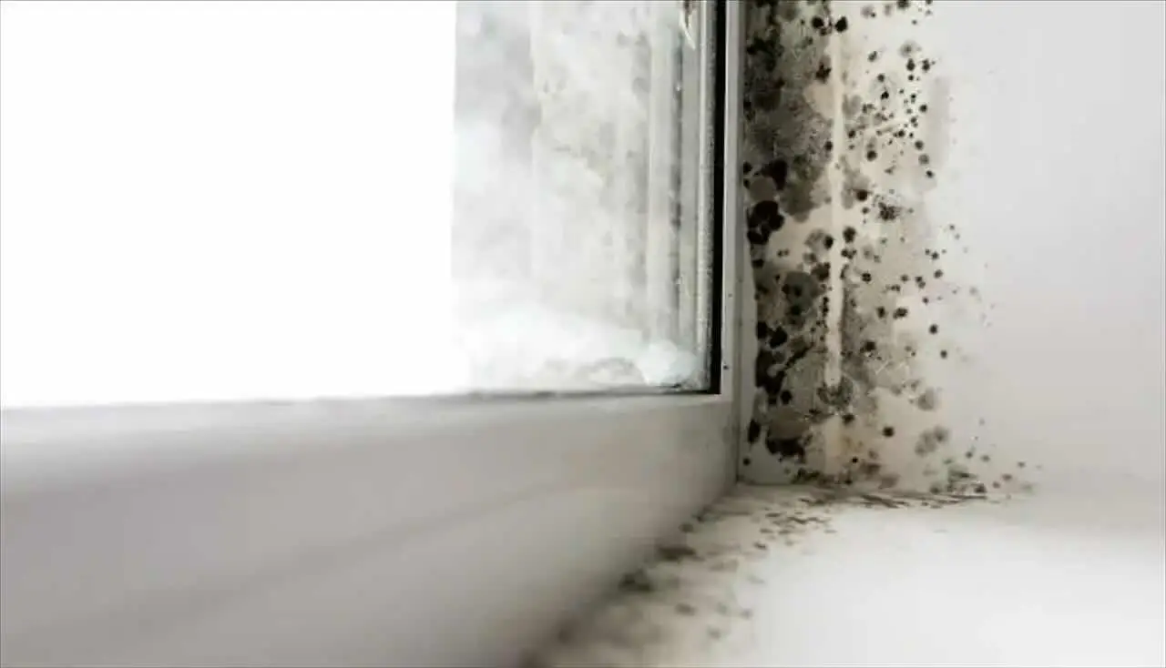 Chiazze di umidità dietro ai mobili: cosa indicano e quali soluzioni adottare subito Chiazze di umidità dietro ai mobili: cosa indicano e quali soluzioni adottare subito