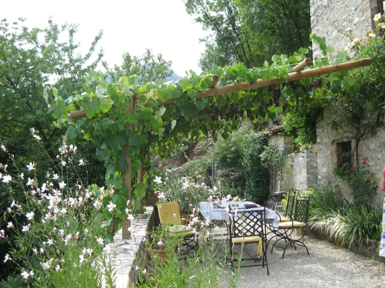Scorpioni in cortile: scopri quali fattori ambientali li attirano nelle abitazioni Scorpioni in cortile: scopri quali fattori ambientali li attirano nelle abitazioni