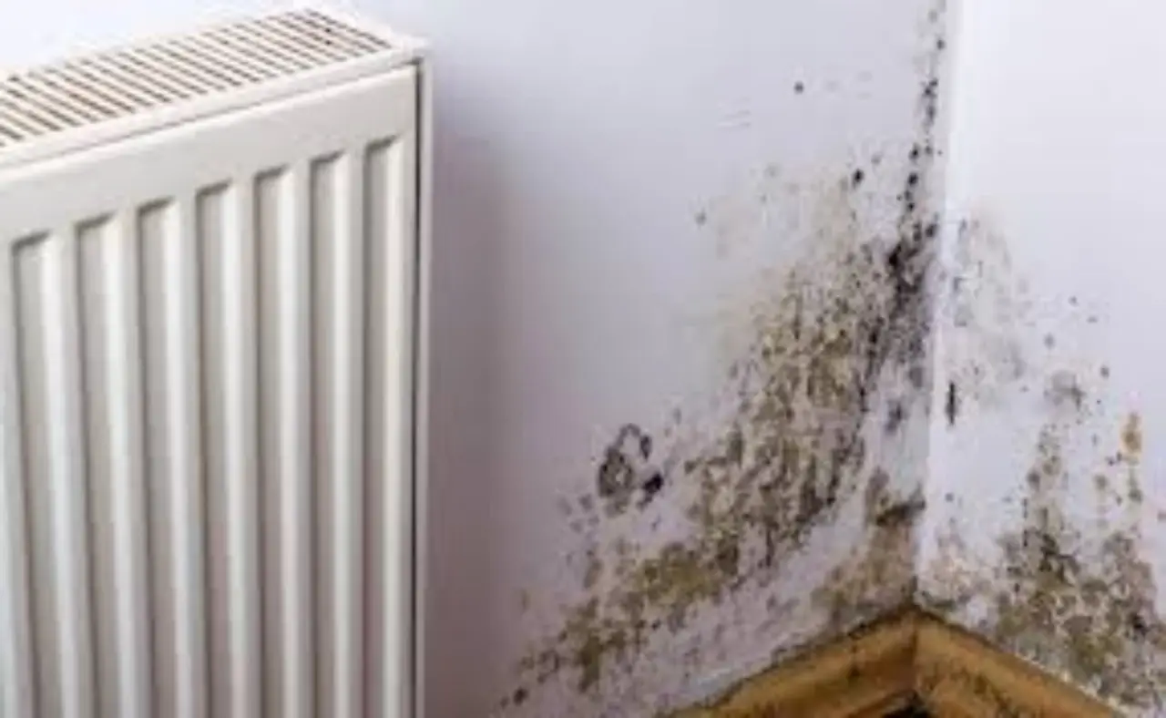 Umidità nei muri: come prevenirla senza prodotti chimici grazie a soluzioni casalinghe Umidità nei muri: come prevenirla senza prodotti chimici grazie a soluzioni casalinghe