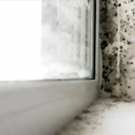 Articoli da leggere