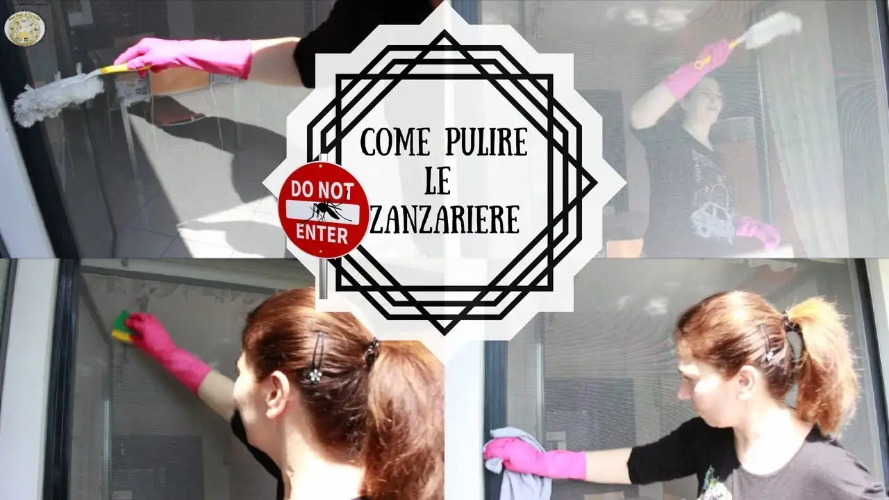 Zanzariere piene di polvere? Ecco il metodo per pulirle senza smontarle Zanzariere piene di polvere? Ecco il metodo per pulirle senza smontarle