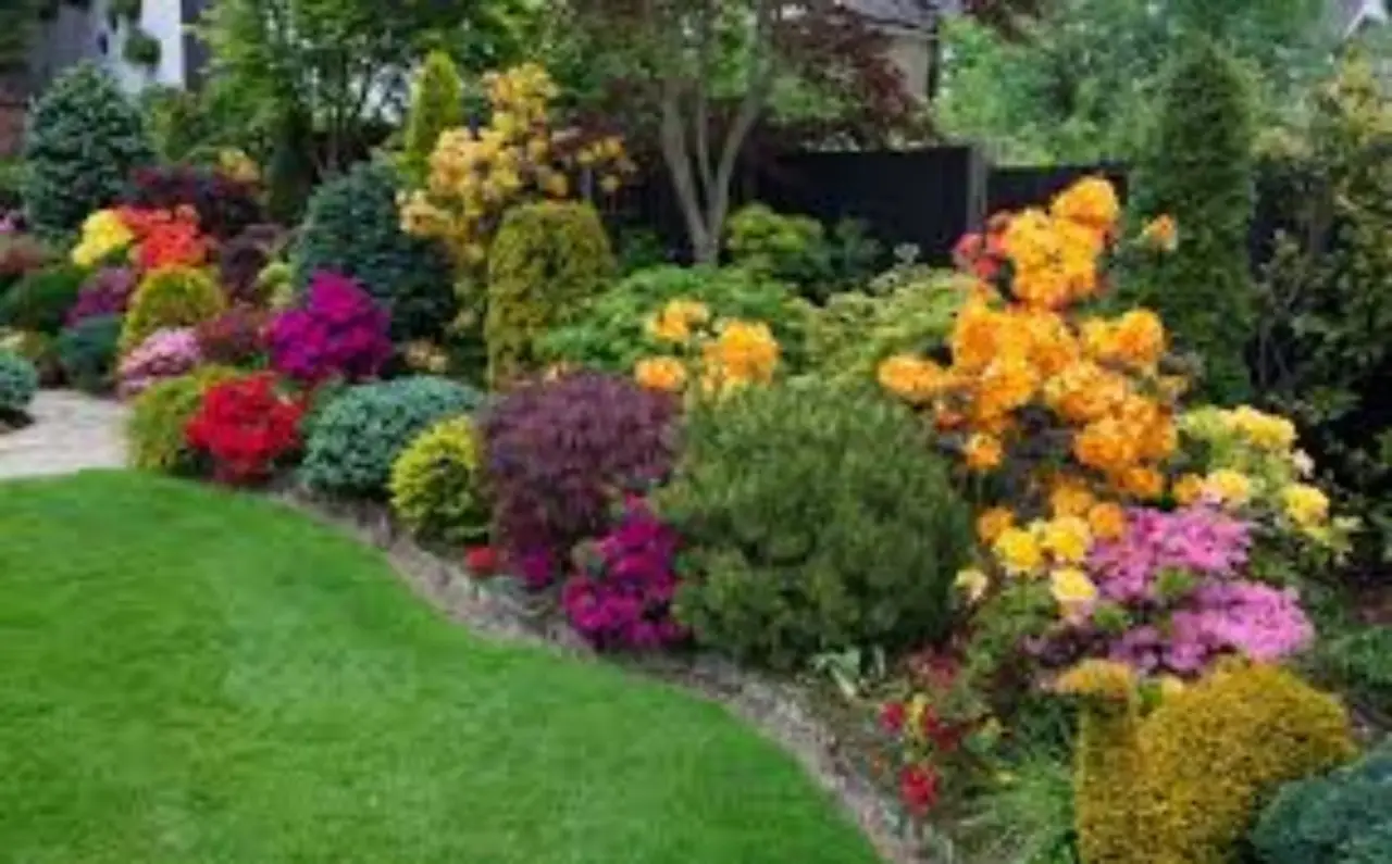 Giardino low‑cost: piante ornamentali belle spendendo poco Giardino low‑cost: piante ornamentali belle spendendo poco