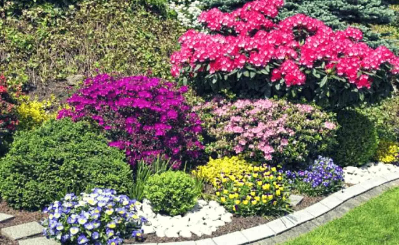 Giardino low‑cost: piante ornamentali belle spendendo poco Giardino low‑cost: piante ornamentali belle spendendo poco