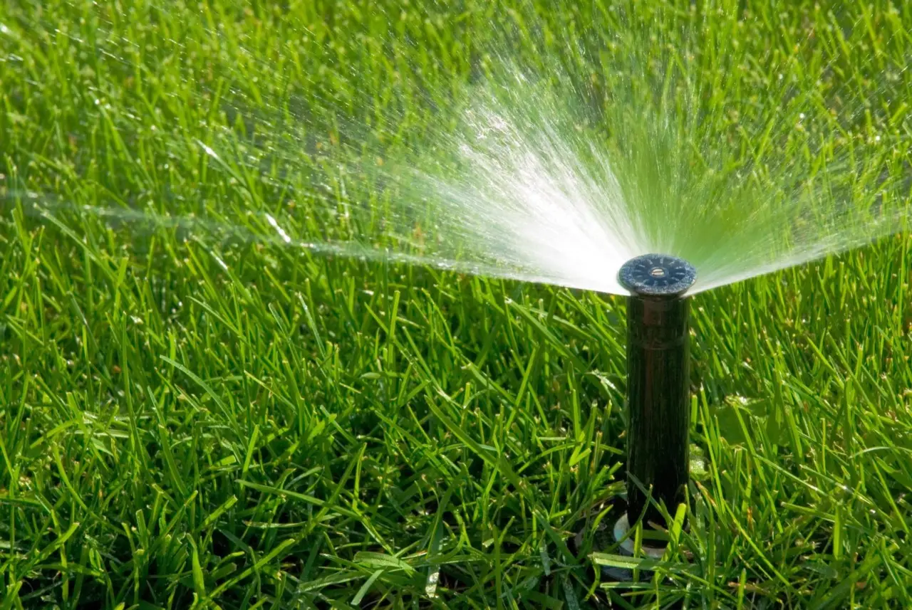 Irrigazione automatica: ecco il sistema che risparmia il 50 % d’acqua Irrigazione automatica: ecco il sistema che risparmia il 50 % d’acqua