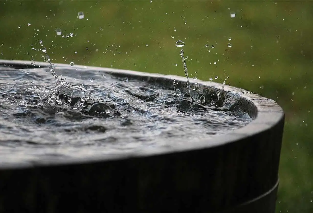 Come usare l’acqua piovana per il giardino: il metodo più efficiente Come usare l’acqua piovana per il giardino: il metodo più efficiente
