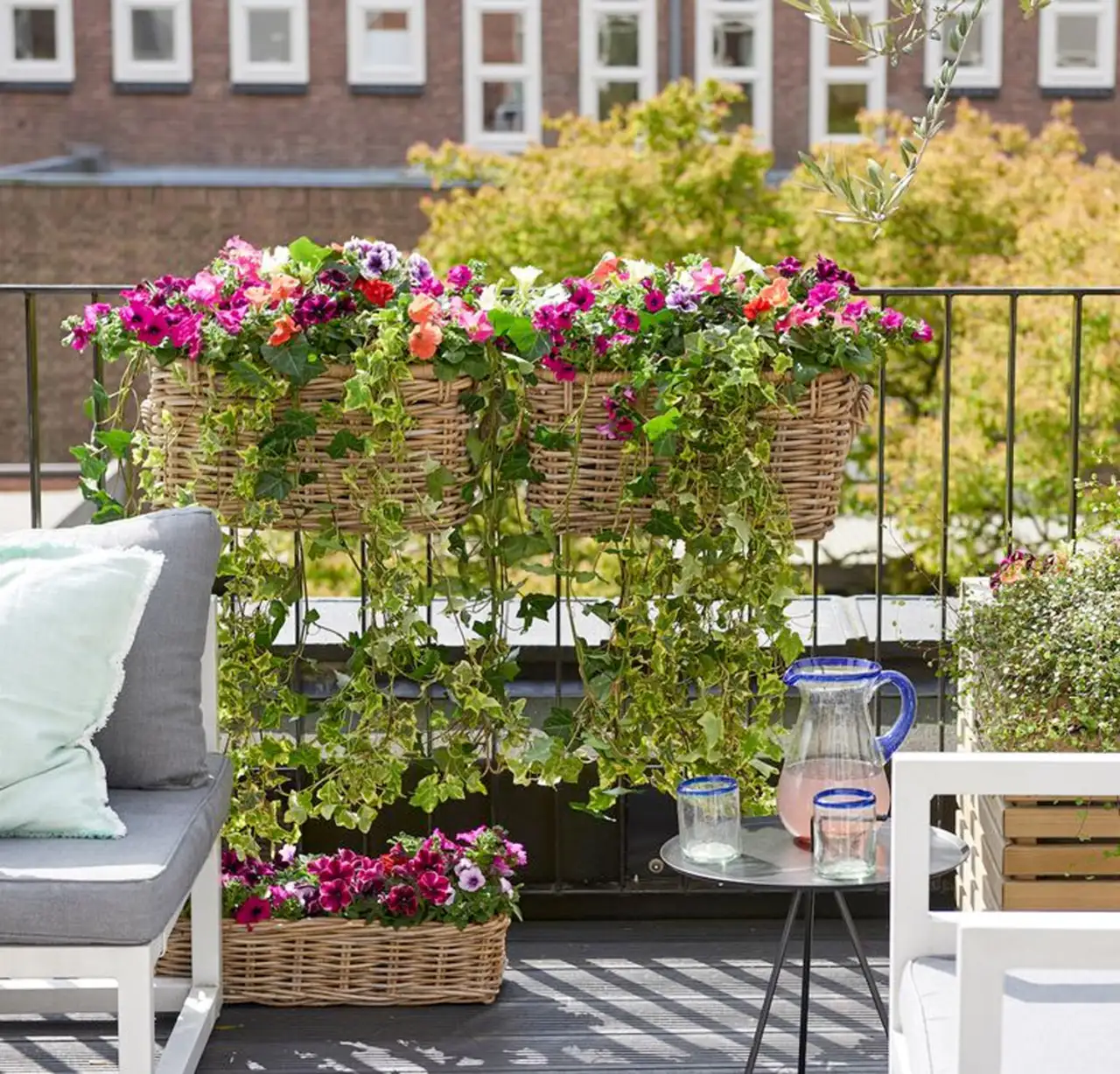 Piante da balcone che profumano l’aria: ecco le più resistenti Piante da balcone che profumano l’aria: ecco le più resistenti