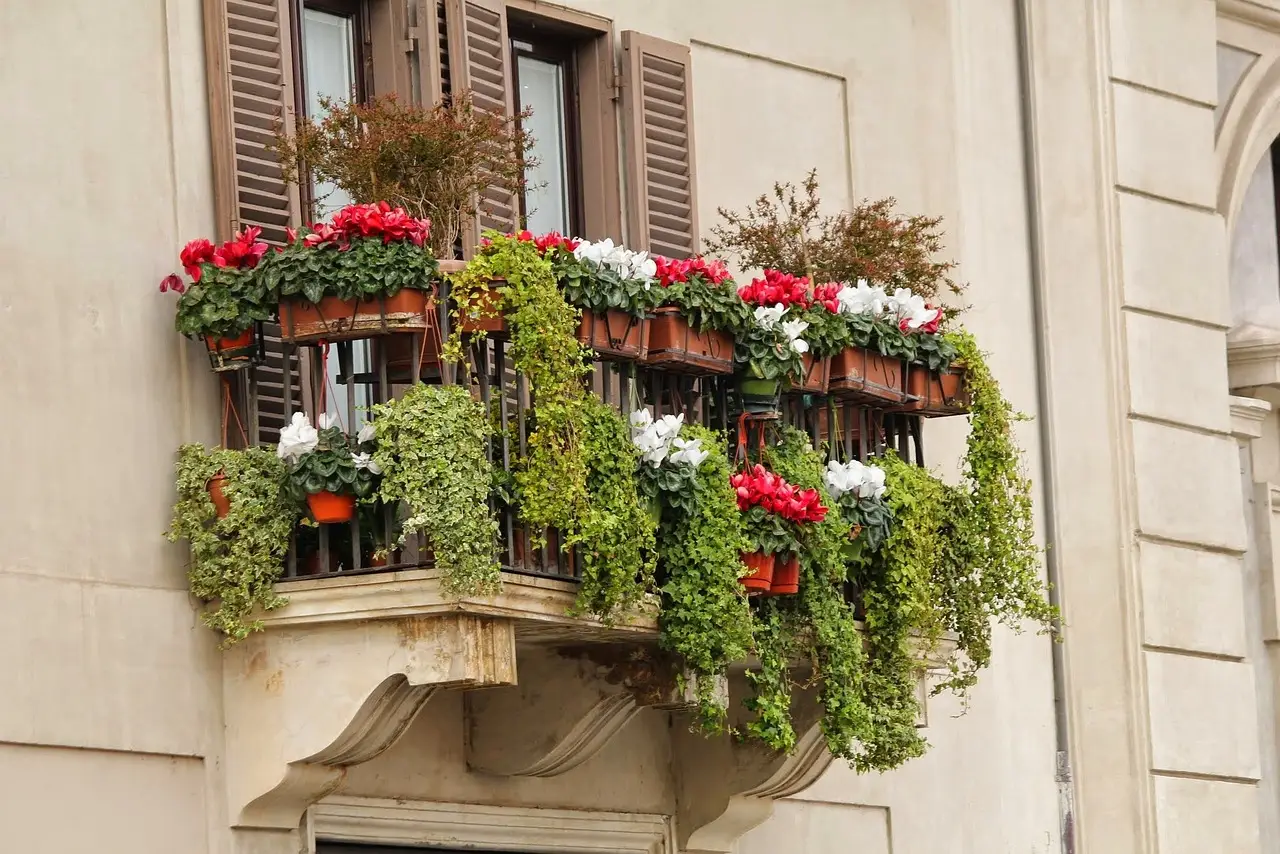 Piante da balcone che profumano l’aria: ecco le più resistenti Piante da balcone che profumano l’aria: ecco le più resistenti