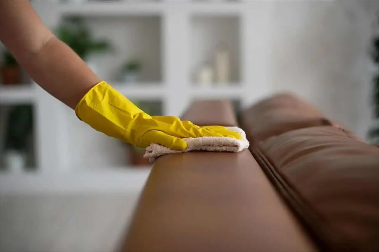Come eliminare l’odore di muffa dai mobili in 3 semplici passaggi Come eliminare l’odore di muffa dai mobili in 3 semplici passaggi
