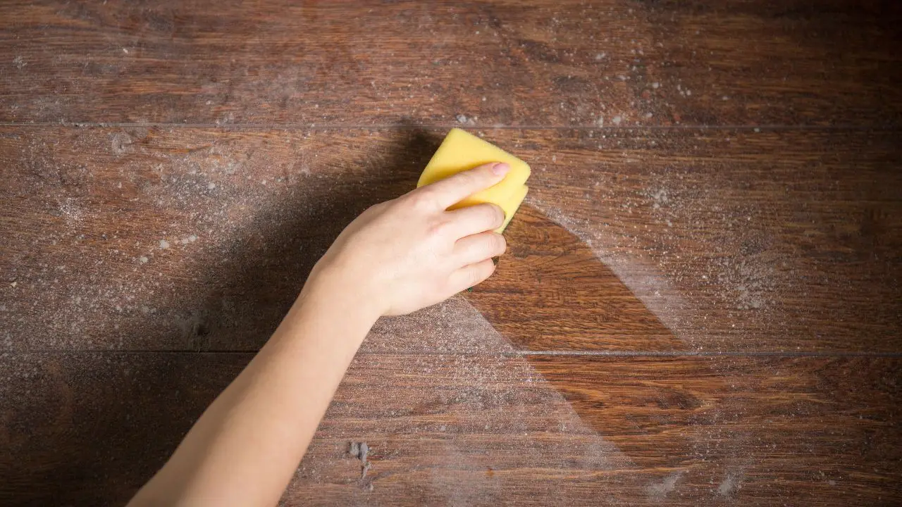 Come eliminare l’odore di muffa dai mobili in 3 semplici passaggi Come eliminare l’odore di muffa dai mobili in 3 semplici passaggi