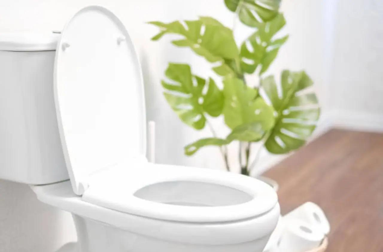 Bagno sempre profumato anche senza diffusori: il metodo semplice e duraturo Bagno sempre profumato anche senza diffusori: il metodo semplice e duraturo