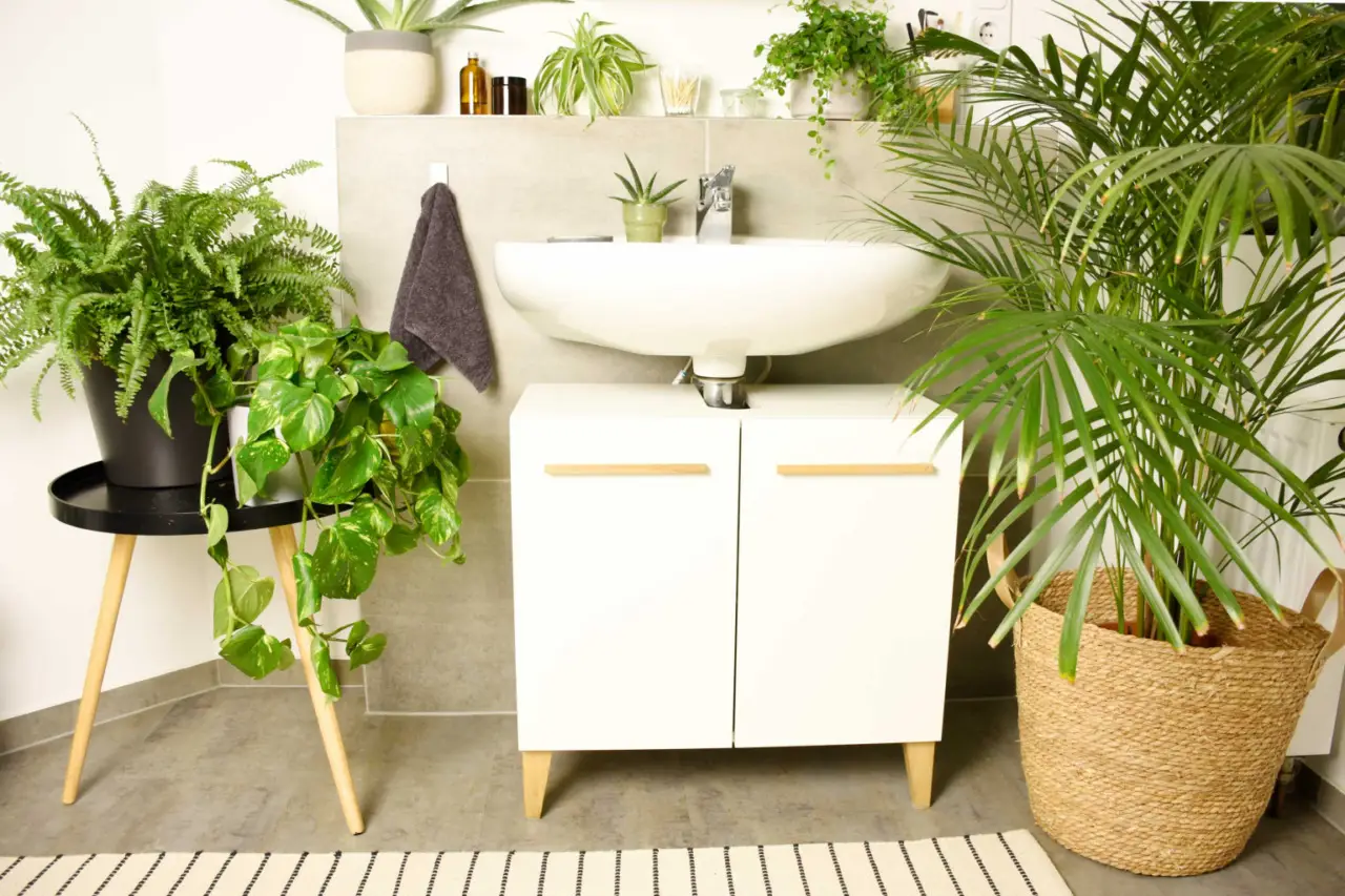 Bagno sempre profumato anche senza diffusori: il metodo semplice e duraturo Bagno sempre profumato anche senza diffusori: il metodo semplice e duraturo