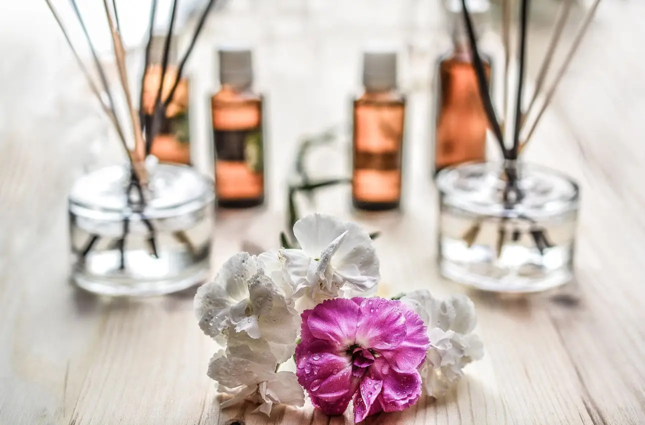 Cassetti che odorano di chiuso: ecco il trucco naturale che li profuma per giorni Cassetti che odorano di chiuso: ecco il trucco naturale che li profuma per giorni