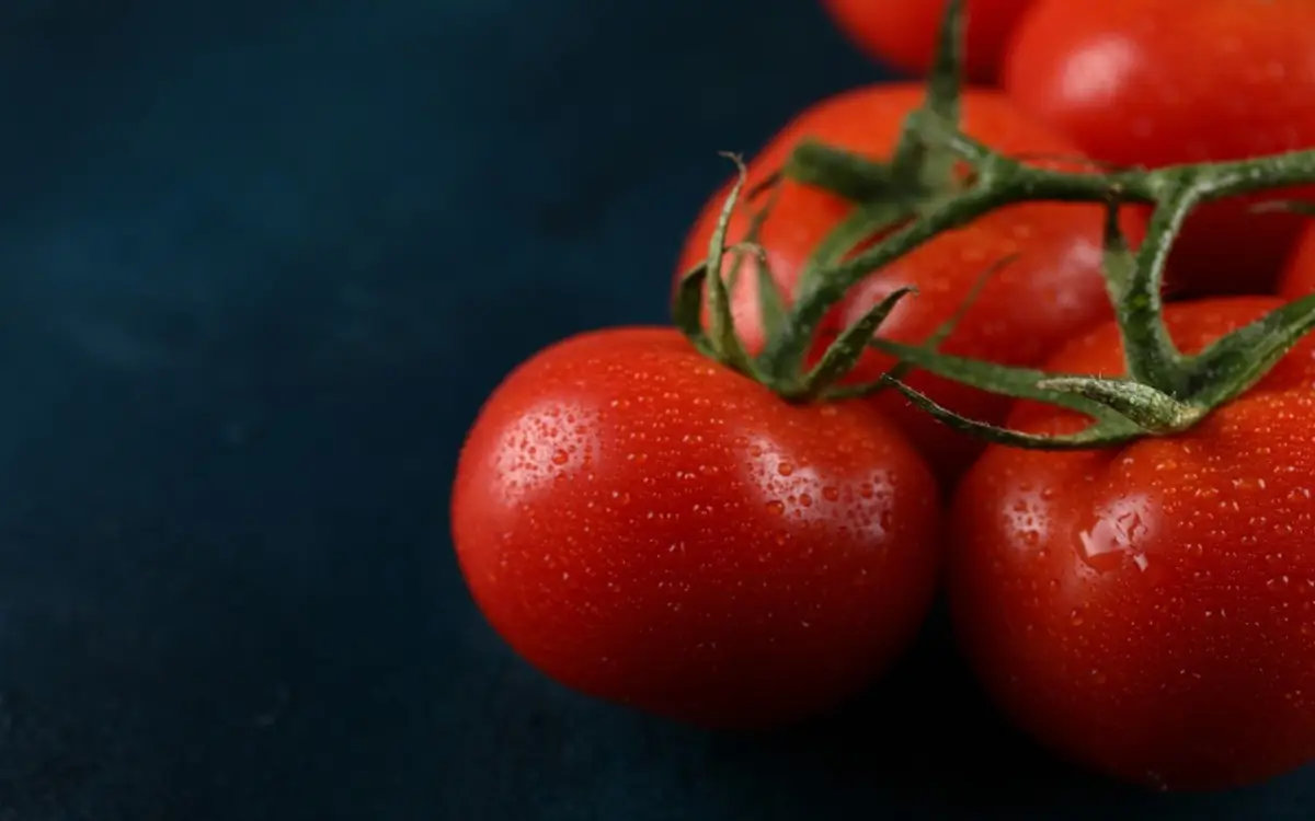 Pomodori dolcissimi: l’irrigazione serale che cambia il sapore Pomodori dolcissimi: l’irrigazione serale che cambia il sapore
