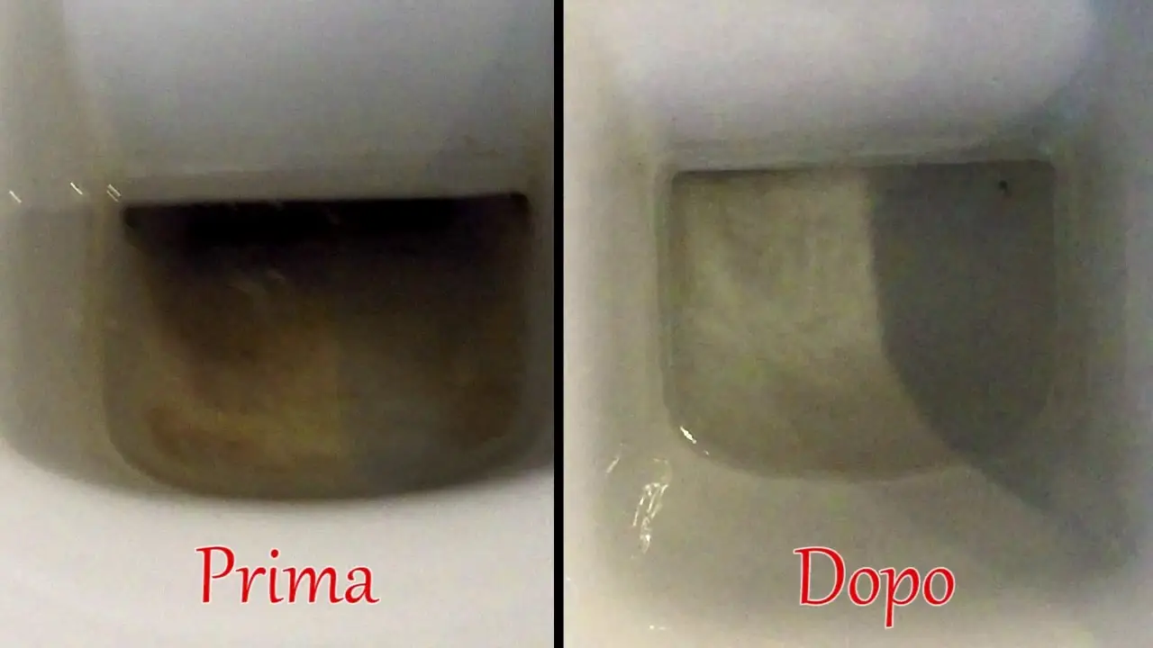 Aceto nel WC: il trucco casalingo che elimina il calcare senza fatica Aceto nel WC: il trucco casalingo che elimina il calcare senza fatica