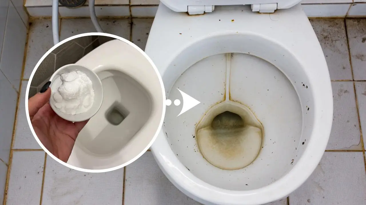 Aceto nel WC: il trucco casalingo che elimina il calcare senza fatica Aceto nel WC: il trucco casalingo che elimina il calcare senza fatica