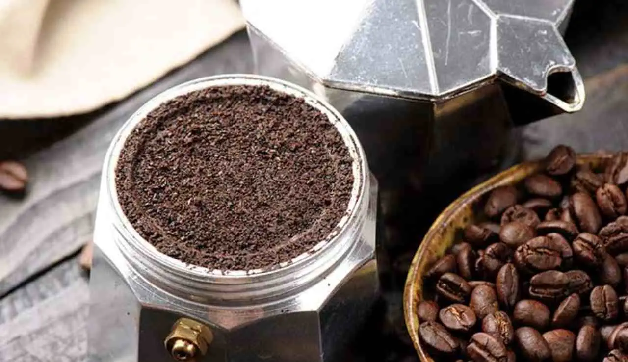 Fondi di caffè nel bidone dell’umido: il trucco geniale che elimina i cattivi odori Fondi di caffè nel bidone dell’umido: il trucco geniale che elimina i cattivi odori