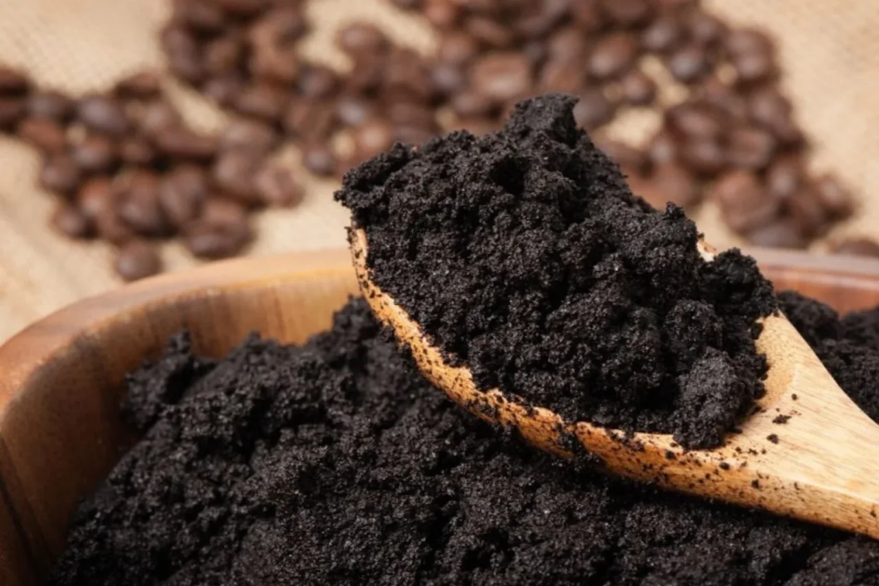 Fondi di caffè nel bidone dell’umido: il trucco geniale che elimina i cattivi odori Fondi di caffè nel bidone dell’umido: il trucco geniale che elimina i cattivi odori