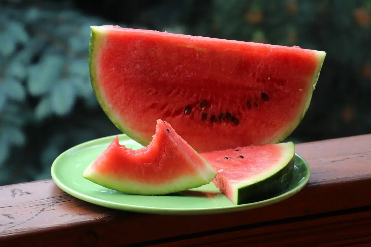Mangiare cocomero ogni giorno: ecco cosa succede al corpo Mangiare cocomero ogni giorno: ecco cosa succede al corpo