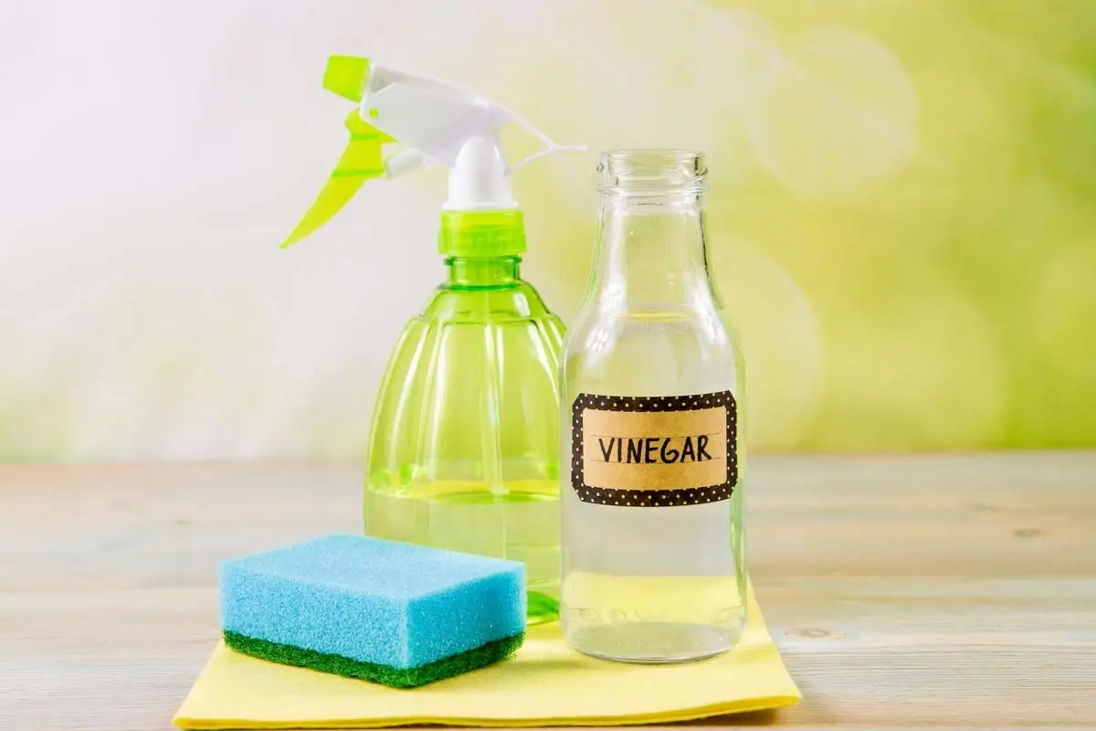 Scopri il rimedio naturale con aceto che elimina gli odori dalla cucina in pochi minuti Scopri il rimedio naturale con aceto che elimina gli odori dalla cucina in pochi minuti