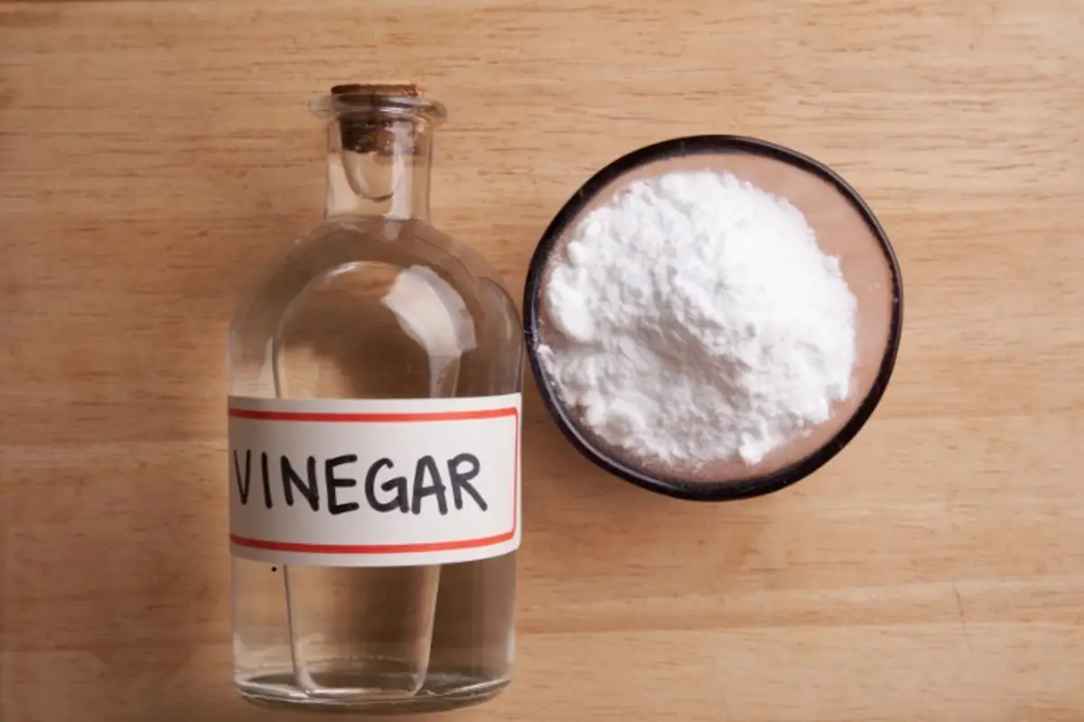 Scopri il rimedio naturale con aceto che elimina gli odori dalla cucina in pochi minuti Scopri il rimedio naturale con aceto che elimina gli odori dalla cucina in pochi minuti