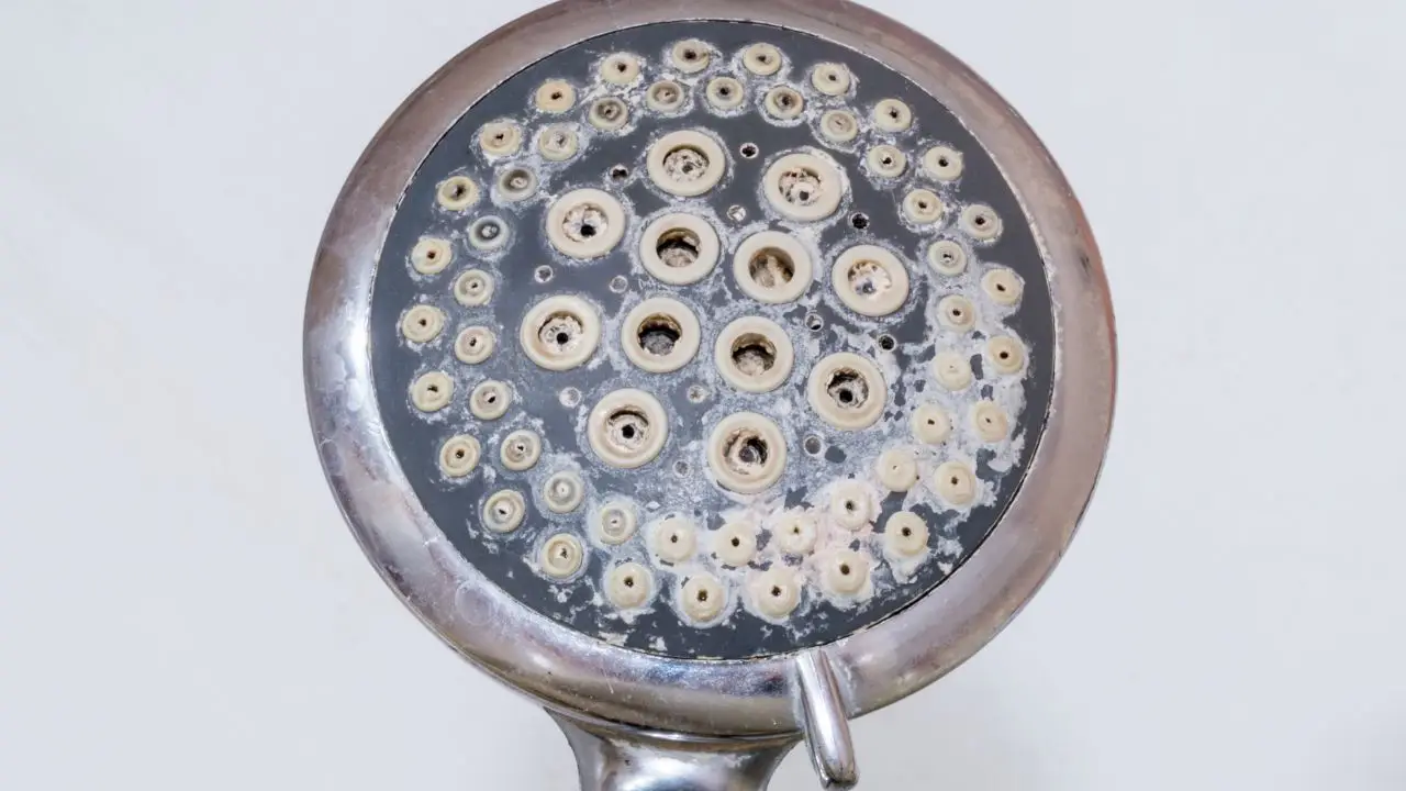 Come togliere il calcare dal soffione della doccia usando solo aceto e acqua calda Come togliere il calcare dal soffione della doccia usando solo aceto e acqua calda
