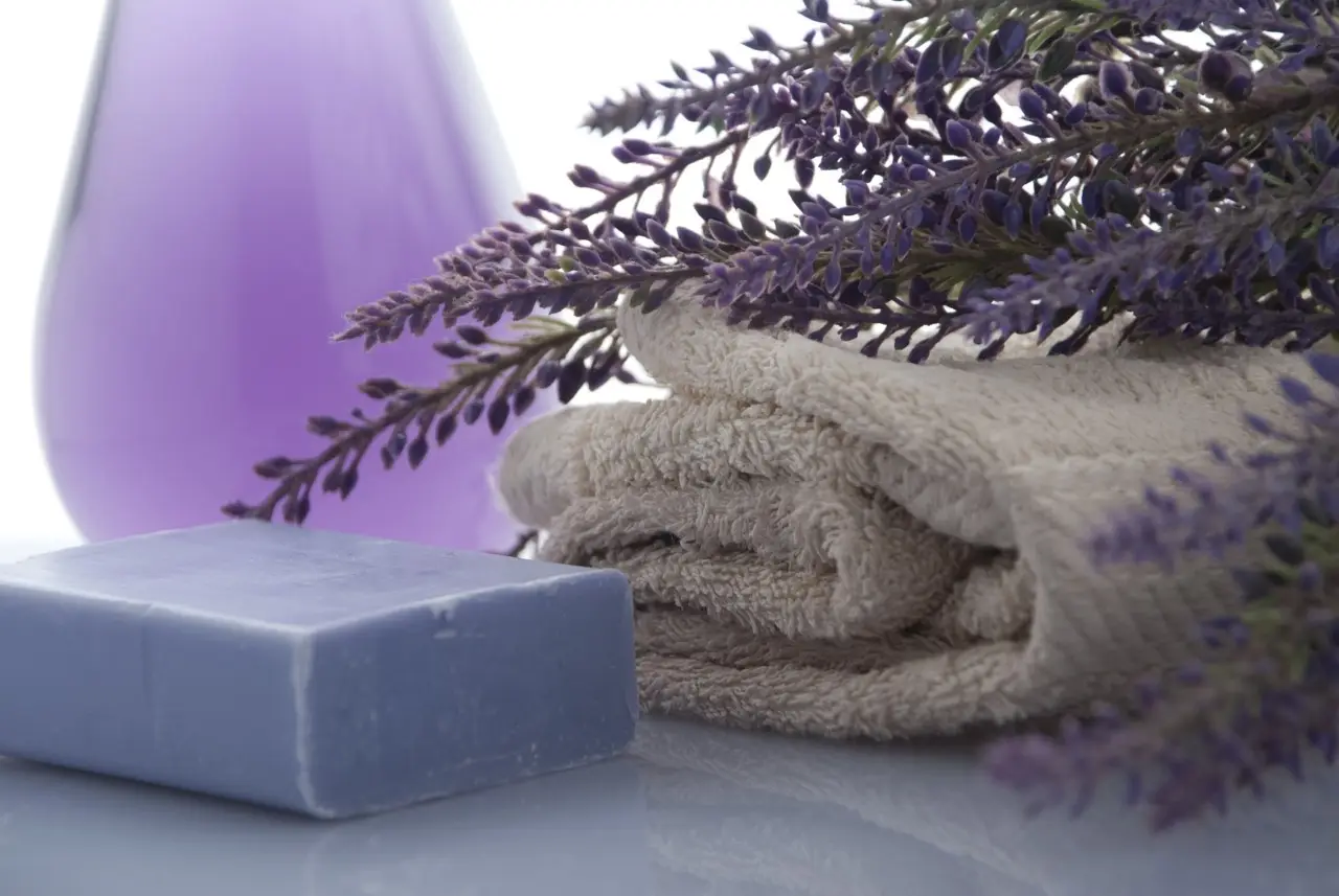 Svelato il segreto per profumare il bagno usando un ingrediente che hai in dispensa Svelato il segreto per profumare il bagno usando un ingrediente che hai in dispensa