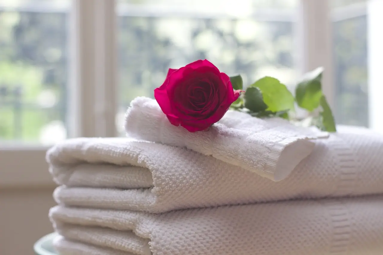 Vuoi un bucato perfetto? Scopri il trucco naturale per profumare asciugamani e lenzuola Vuoi un bucato perfetto? Scopri il trucco naturale per profumare asciugamani e lenzuola