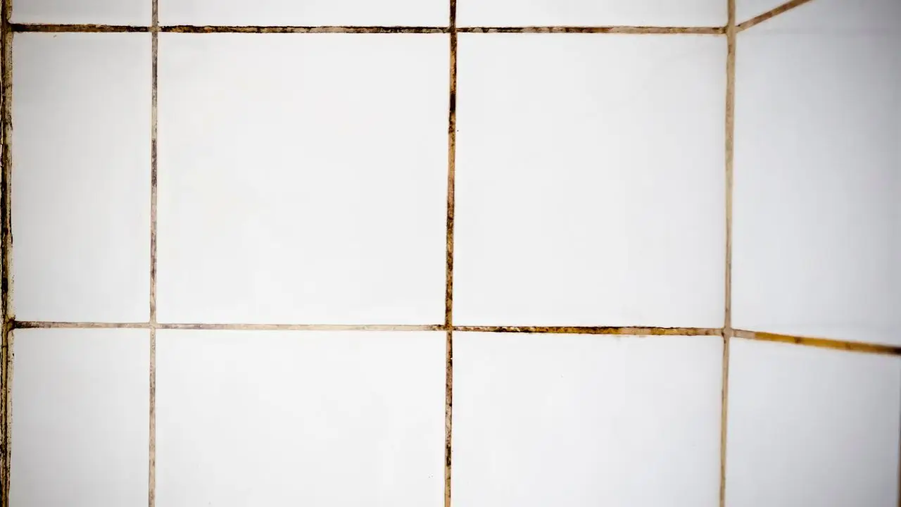 Come eliminare la muffa dalle fughe delle piastrelle con un solo rimedio naturale Come eliminare la muffa dalle fughe delle piastrelle con un solo rimedio naturale