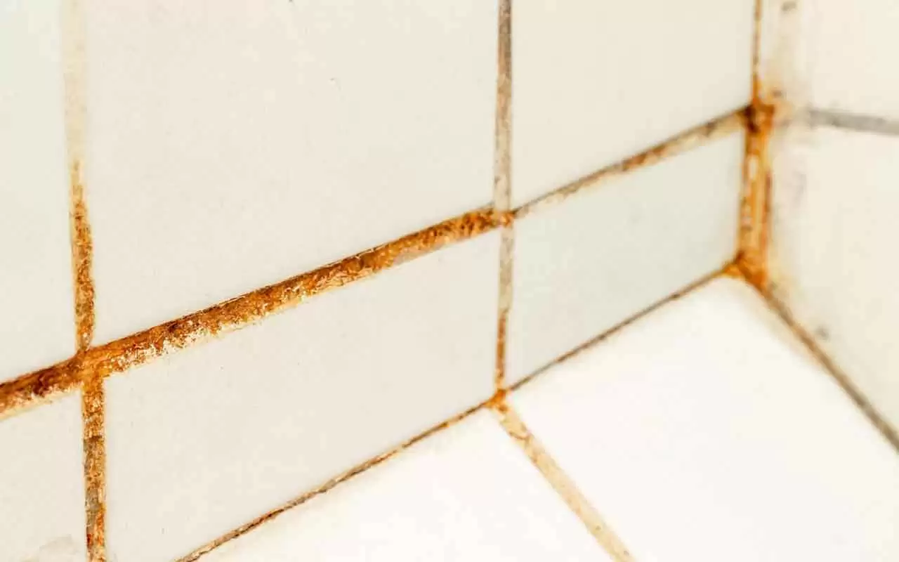 Come eliminare la muffa dalle fughe delle piastrelle con un solo rimedio naturale Come eliminare la muffa dalle fughe delle piastrelle con un solo rimedio naturale