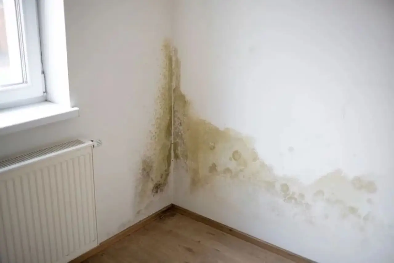 Umidità nei muri: come prevenirla senza prodotti chimici grazie a soluzioni casalinghe Umidità nei muri: come prevenirla senza prodotti chimici grazie a soluzioni casalinghe