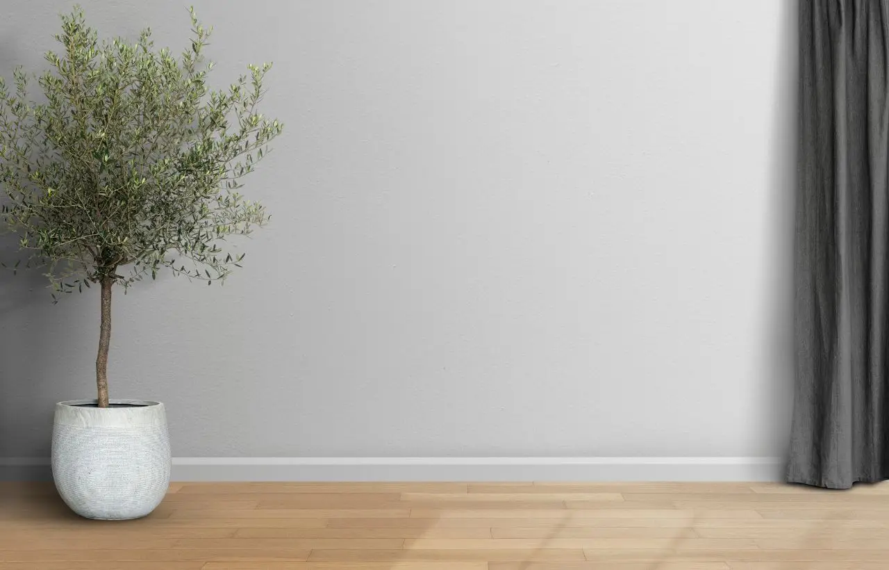 Umidità nei muri: come prevenirla senza prodotti chimici grazie a soluzioni casalinghe Umidità nei muri: come prevenirla senza prodotti chimici grazie a soluzioni casalinghe