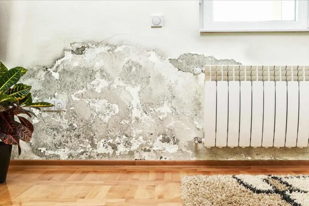 Umidità nei muri: come prevenirla senza prodotti chimici grazie a soluzioni casalinghe Umidità nei muri: come prevenirla senza prodotti chimici grazie a soluzioni casalinghe