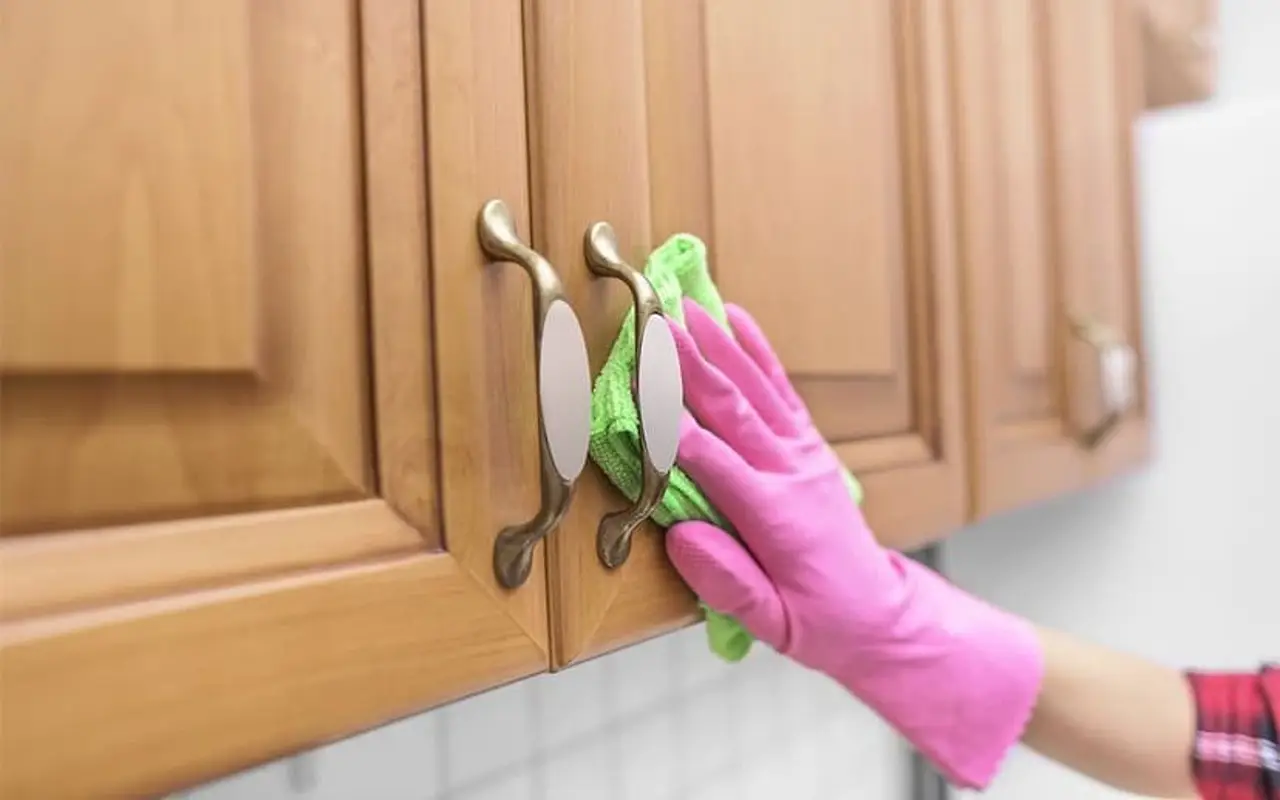 Scopri la ricetta casalinga più efficace contro le formiche nei pensili della cucina Scopri la ricetta casalinga più efficace contro le formiche nei pensili della cucina