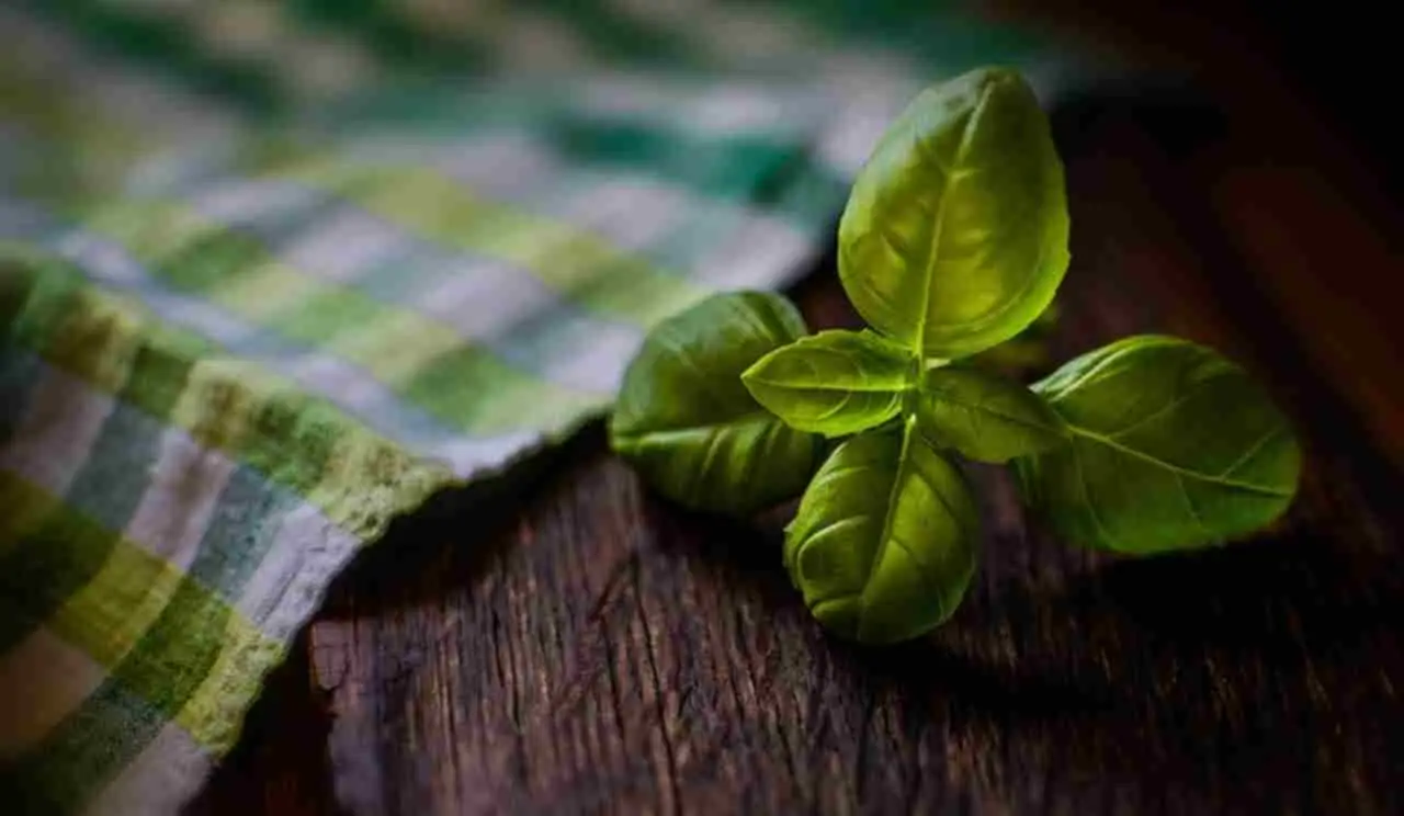 Allontana subito le formiche dal piano cucina con questa soluzione che hai già in casa Allontana subito le formiche dal piano cucina con questa soluzione che hai già in casa