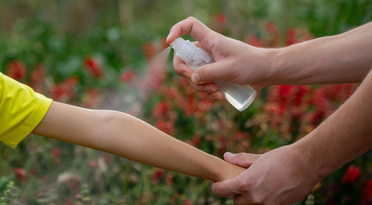 Evita le trappole chimiche: prepara oggi un repellente naturale solo con ingredienti freschi Evita le trappole chimiche: prepara oggi un repellente naturale solo con ingredienti freschi