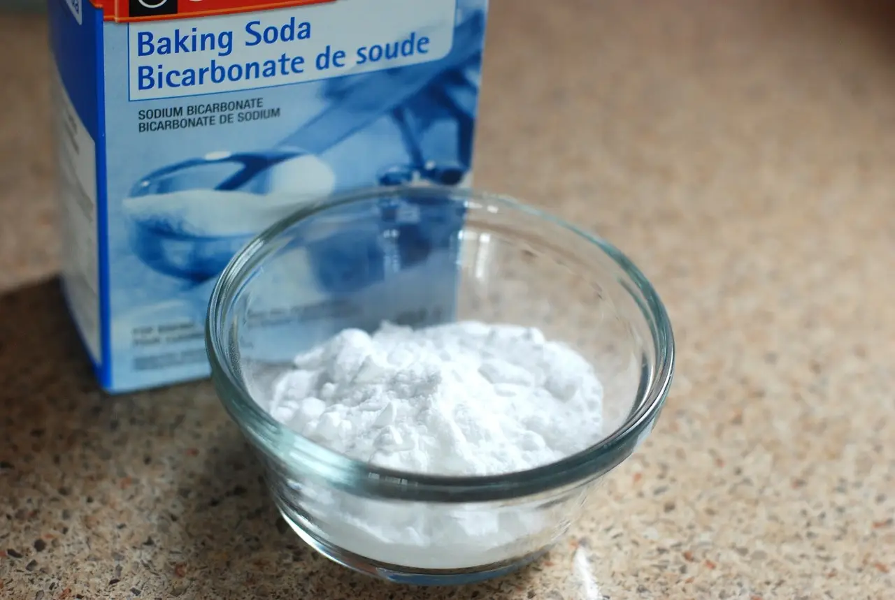Come eliminare gli scarafaggi dal bagno usando ingredienti già in dispensa Come eliminare gli scarafaggi dal bagno usando ingredienti già in dispensa